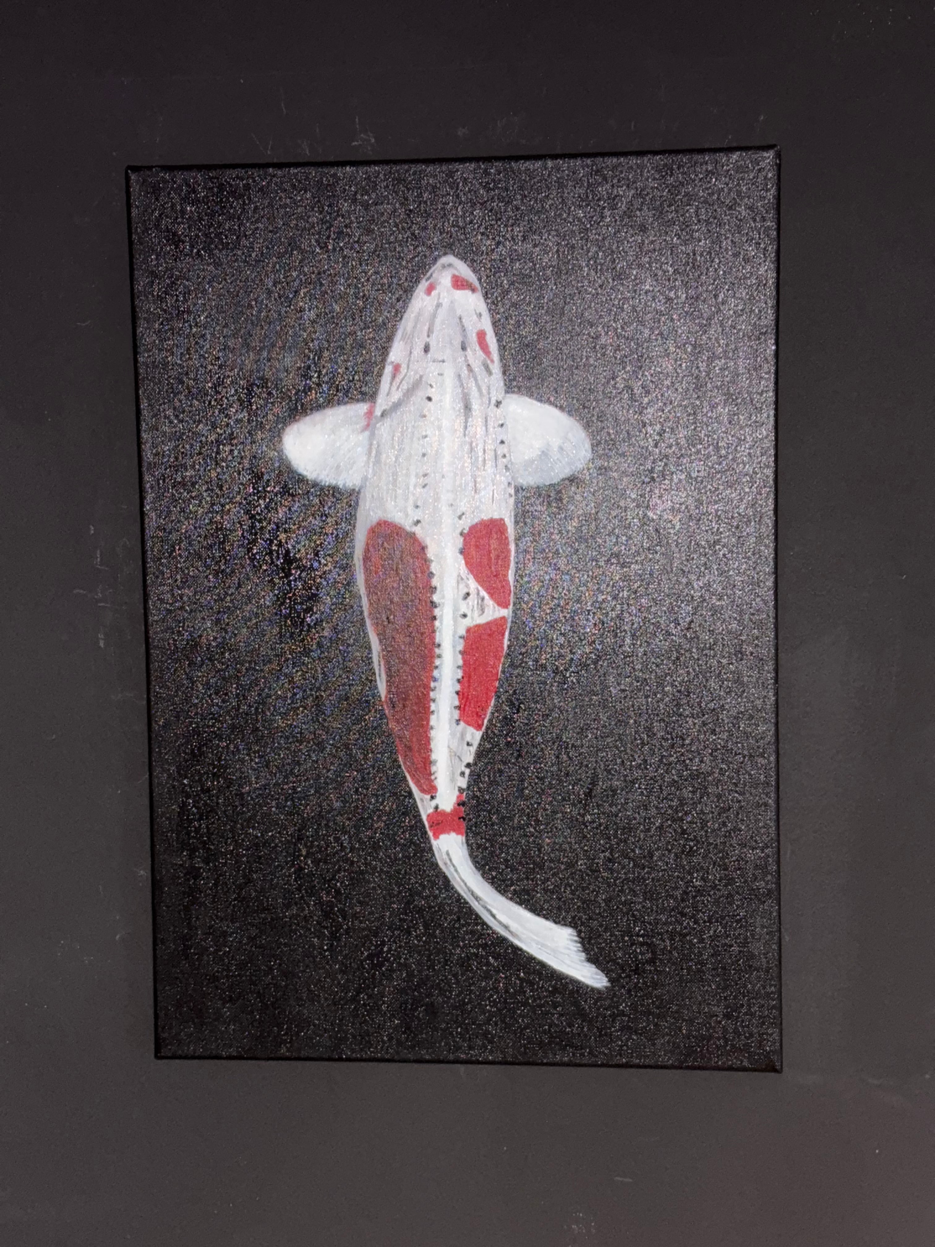 Kohaku koi fish