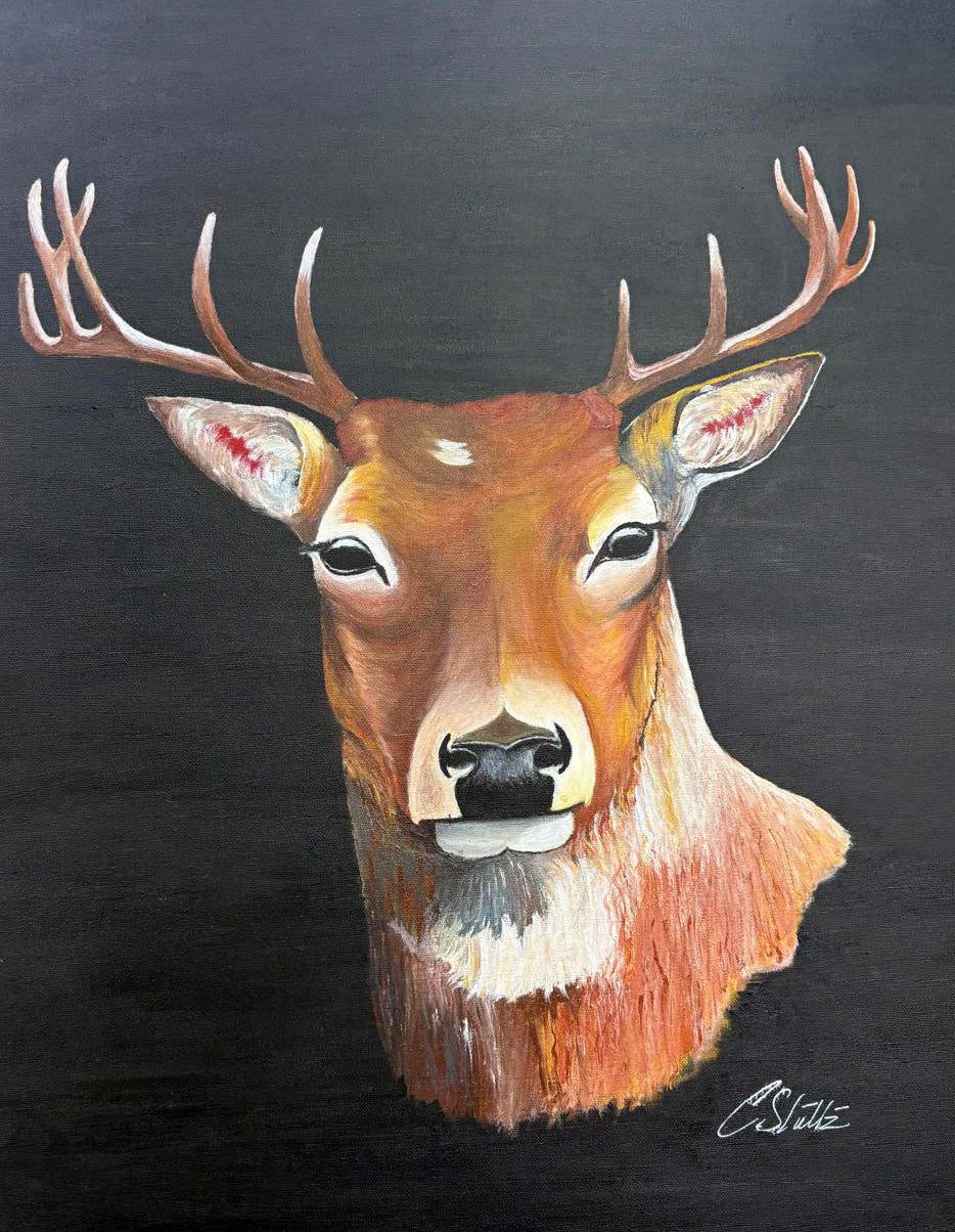 THE SENTINEL - In Silent Guard